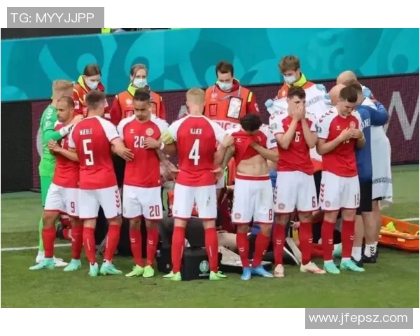 芬兰和比利时足球明星阵容解析与对比